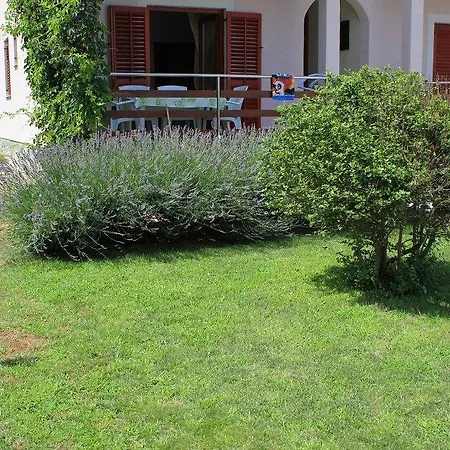 Kraj 8247a *